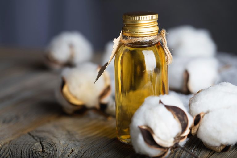 Cotton and cotton seed oil