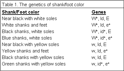Genetics of shank/color