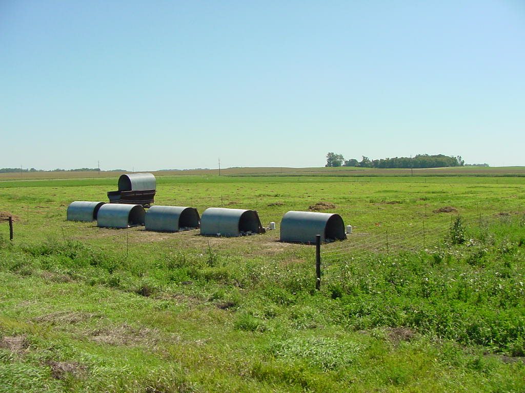 Pasture poultry huts and feed wagon